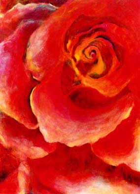 rosse rose